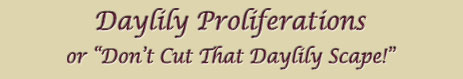 Header: An Article on Propagating Daylilies Using Proliferations